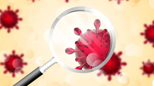 സംസ്ഥാനത്ത് വീണ്ടും അമീബിക് മസ്തിഷ്ക ജ്വരം; പത്ത് വയസുകാരന് രോഗബാധ സ്ഥിരീകരിച്ചു